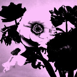Warhol Pink 01